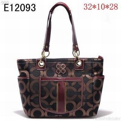 Coach handbags087